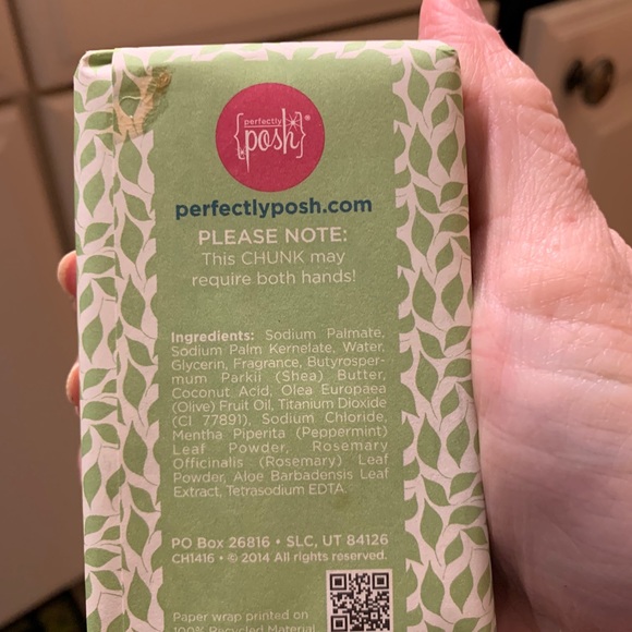 Perfectly Posh Mint for Each Other chunk - Picture 3 of 4